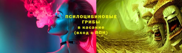 МДПВ Вяземский