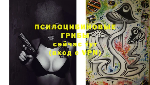 марки lsd Осинники