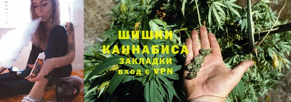 МДПВ Вяземский