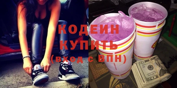 МДПВ Вяземский