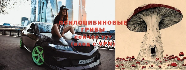 a pvp Вязники