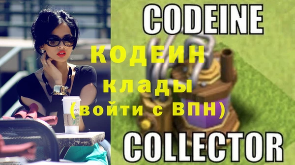 МДПВ Вяземский