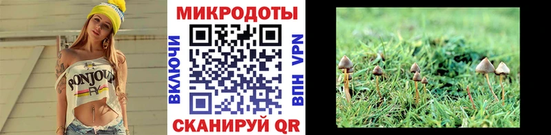 Купить  Ковдор  Галлюциногенные грибы прущие грибы 